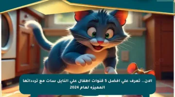 الآن.. تعرف على أفضل 5 قنوات أطفال على النايل سات مع تردداتها المميزة لعام 2024